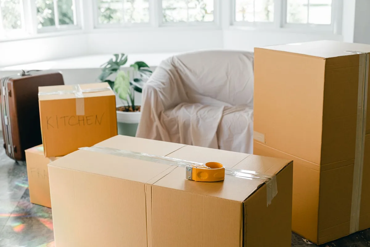 Hoarding Cleanup in North Hyde Park, Tampa, FL
